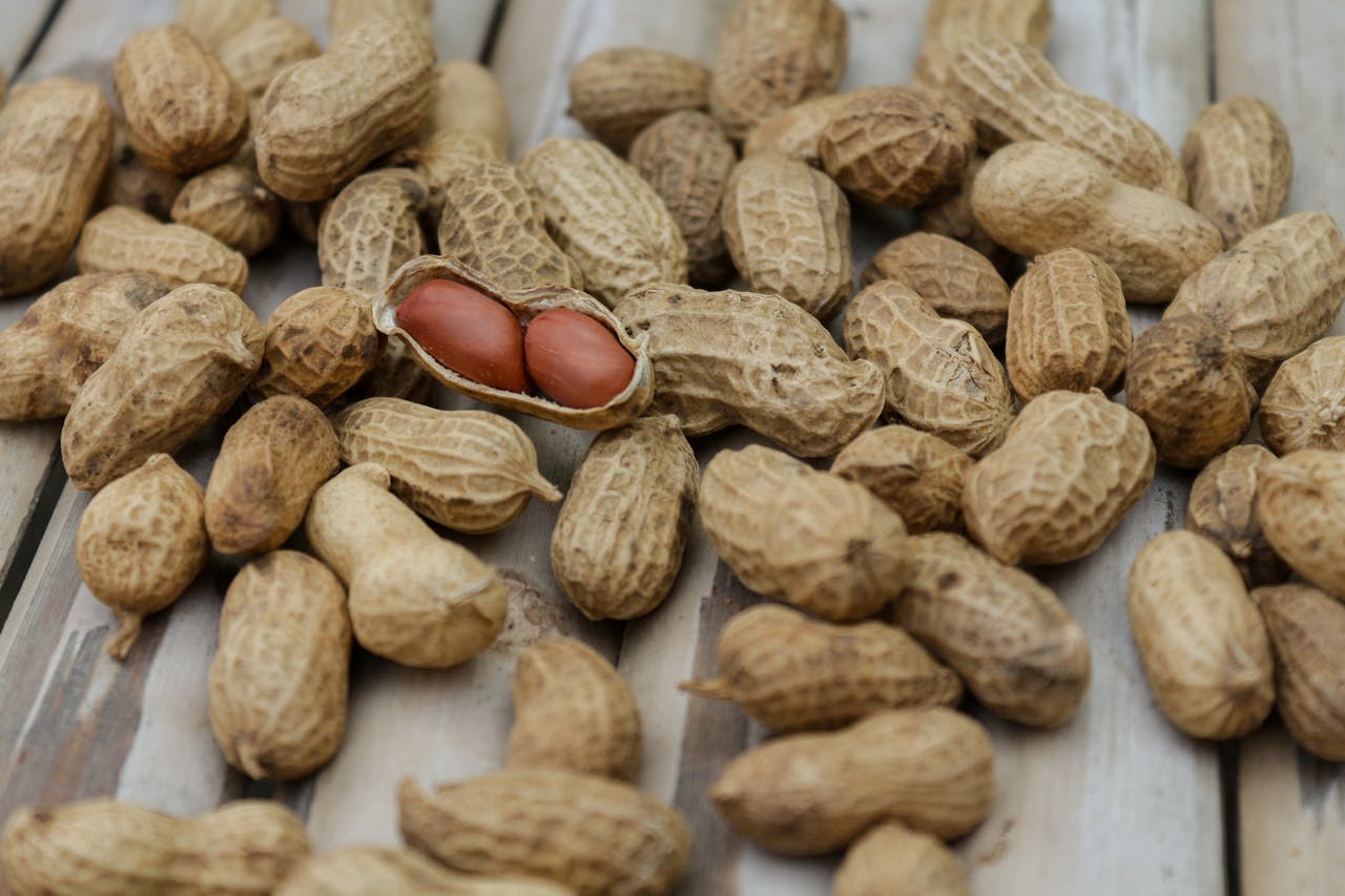 Close Up Photo of Peanuts