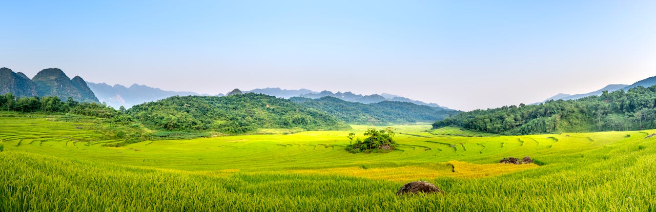 Green fields located in countryside